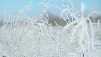 Obraz premium winter, snow, view