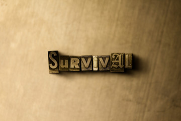 SURVIVAL - close-up of grungy vintage typeset word on metal backdrop. Royalty free stock - 3D rendered stock image.  Can be used for online banner ads and direct mail.