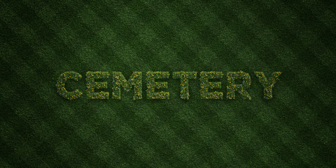 CEMETERY - fresh Grass letters with flowers and dandelions - 3D rendered royalty free stock image. Can be used for online banner ads and direct mailers..