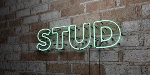 STUD - Glowing Neon Sign on stonework wall - 3D rendered royalty free stock illustration.  Can be used for online banner ads and direct mailers..