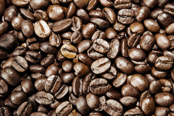 Roasted coffee beans