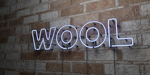 WOOL - Glowing Neon Sign on stonework wall - 3D rendered royalty free stock illustration.  Can be used for online banner ads and direct mailers..