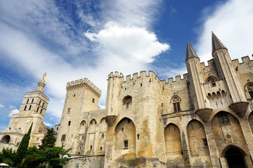 Fototapeta na wymiar Palace of the Popes, Avignon