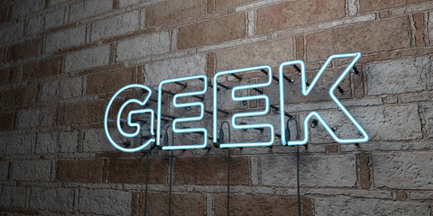 GEEK - Glowing Neon Sign on stonework wall - 3D rendered royalty free stock illustration.  Can be used for online banner ads and direct mailers..