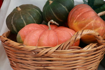 Basket full of ecological pumpkins