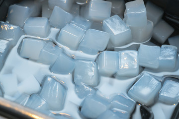 Coconut jelly
