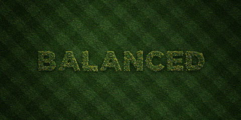 BALANCED - fresh Grass letters with flowers and dandelions - 3D rendered royalty free stock image. Can be used for online banner ads and direct mailers..