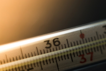 thermometer macro on black