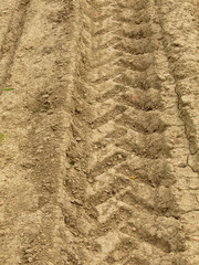 Tire tracks on the sand