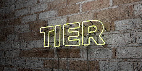 TIER - Glowing Neon Sign on stonework wall - 3D rendered royalty free stock illustration.  Can be used for online banner ads and direct mailers..