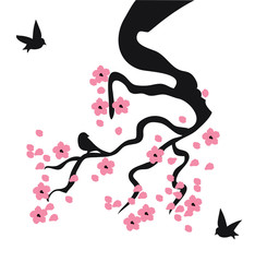 Fototapeta premium Vector Cherry Blossom