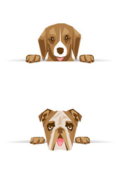 Facce di teneri cani con zampette © aledesign101