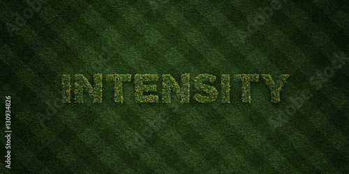 Best Fresh Grass Letters With Flowers And Dandelions 3d