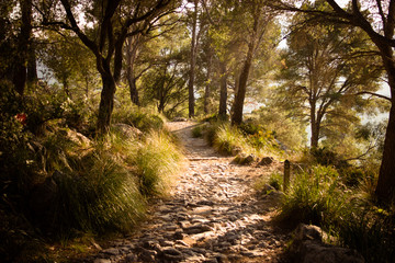 Obraz premium Wanderweg Mallorca 