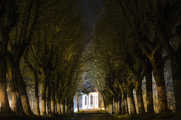 night alley in the city