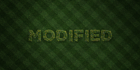 MODIFIED - fresh Grass letters with flowers and dandelions - 3D rendered royalty free stock image. Can be used for online banner ads and direct mailers..