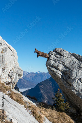 500_F_130937082_UJeyXyAKL3Rp42o6MYAlDEatv6I9L93f.jpg