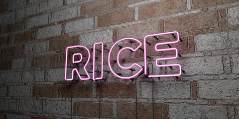 RICE - Glowing Neon Sign on stonework wall - 3D rendered royalty free stock illustration.  Can be used for online banner ads and direct mailers..