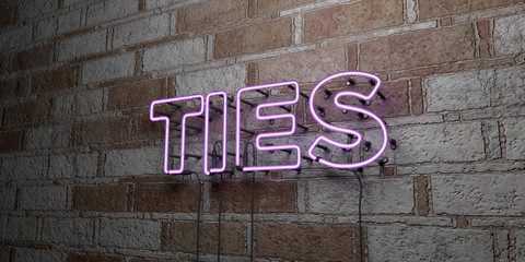 TIES - Glowing Neon Sign on stonework wall - 3D rendered royalty free stock illustration.  Can be used for online banner ads and direct mailers..