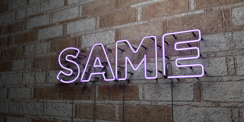 SAME - Glowing Neon Sign on stonework wall - 3D rendered royalty free stock illustration.  Can be used for online banner ads and direct mailers..