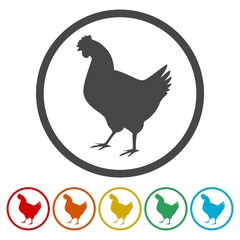Chicken icons set 