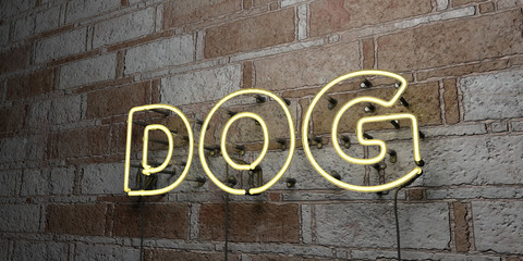 DOG - Glowing Neon Sign on stonework wall - 3D rendered royalty free stock illustration.  Can be used for online banner ads and direct mailers..