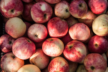 Red apples background, top view