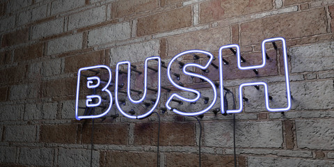 BUSH - Glowing Neon Sign on stonework wall - 3D rendered royalty free stock illustration.  Can be used for online banner ads and direct mailers..