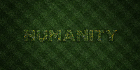 HUMANITY - fresh Grass letters with flowers and dandelions - 3D rendered royalty free stock image. Can be used for online banner ads and direct mailers..