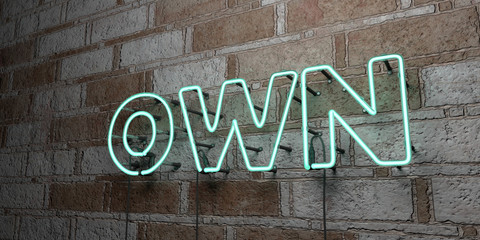 OWN - Glowing Neon Sign on stonework wall - 3D rendered royalty free stock illustration.  Can be used for online banner ads and direct mailers..