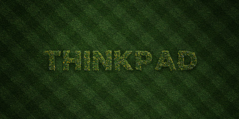 THINKPAD - fresh Grass letters with flowers and dandelions - 3D rendered royalty free stock image. Can be used for online banner ads and direct mailers..