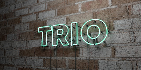 TRIO - Glowing Neon Sign on stonework wall - 3D rendered royalty free stock illustration.  Can be used for online banner ads and direct mailers..