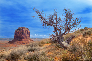 Monument Valley - Arizona - United States of America