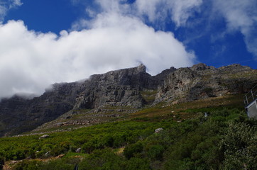Fototapeta na wymiar Tafelberg SüdafrikA