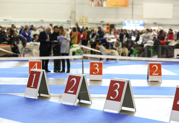 Interior of room prepared for dog show