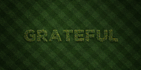 GRATEFUL - fresh Grass letters with flowers and dandelions - 3D rendered royalty free stock image. Can be used for online banner ads and direct mailers..