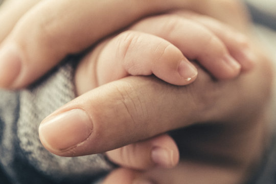 Tiny cute baby hand holding mother's hand close up