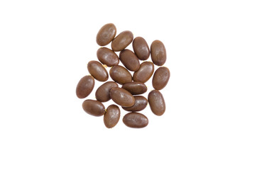 brown wood acacia seeds on a white background