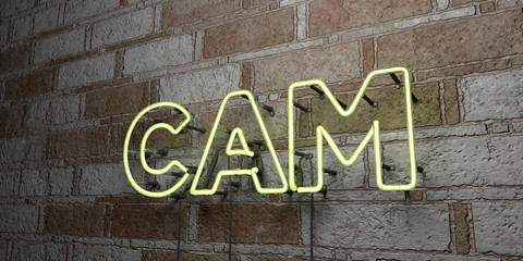 CAM - Glowing Neon Sign on stonework wall - 3D rendered royalty free stock illustration.  Can be used for online banner ads and direct mailers..