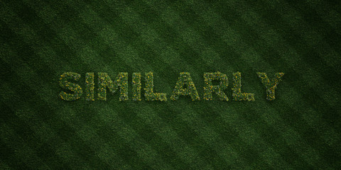 SIMILARLY - fresh Grass letters with flowers and dandelions - 3D rendered royalty free stock image. Can be used for online banner ads and direct mailers..
