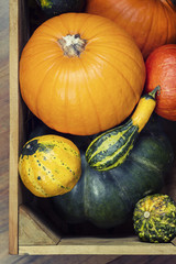 Fresh pumpkins in a wooden box