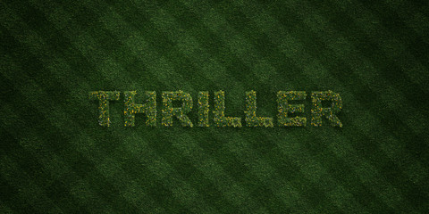 THRILLER - fresh Grass letters with flowers and dandelions - 3D rendered royalty free stock image. Can be used for online banner ads and direct mailers..