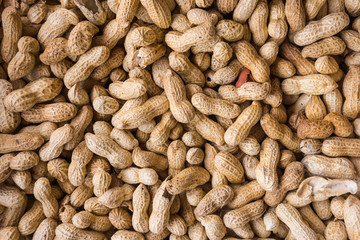 Peanuts seed. Many groundnuts in shells. Peanuts background