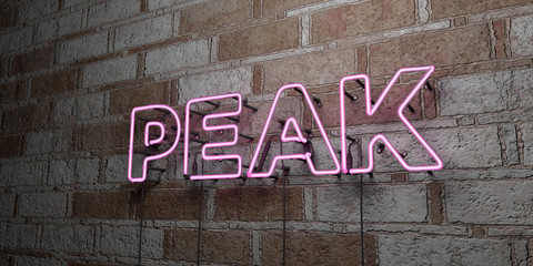 PEAK - Glowing Neon Sign on stonework wall - 3D rendered royalty free stock illustration.  Can be used for online banner ads and direct mailers..