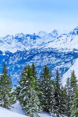 winter landscape.  winter background. mountains at winter