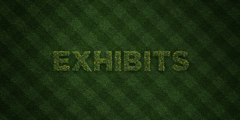 EXHIBITS - fresh Grass letters with flowers and dandelions - 3D rendered royalty free stock image. Can be used for online banner ads and direct mailers..