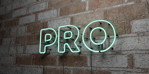 PRO - Glowing Neon Sign on stonework wall - 3D rendered royalty free stock illustration.  Can be used for online banner ads and direct mailers..