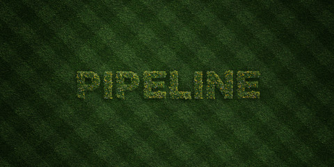 PIPELINE - fresh Grass letters with flowers and dandelions - 3D rendered royalty free stock image. Can be used for online banner ads and direct mailers..