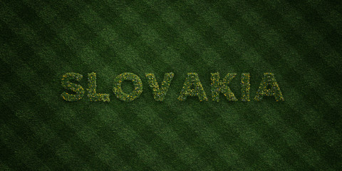 Fototapeta na wymiar SLOVAKIA - fresh Grass letters with flowers and dandelions - 3D rendered royalty free stock image. Can be used for online banner ads and direct mailers..