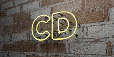 CD - Glowing Neon Sign on stonework wall - 3D rendered royalty free stock illustration.  Can be used for online banner ads and direct mailers..